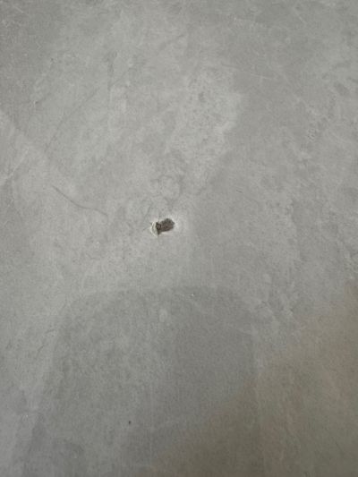 杨小康未编辑专业未编辑专业未编辑专业