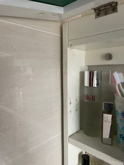 李振未编辑专业未编辑专业未编辑专业