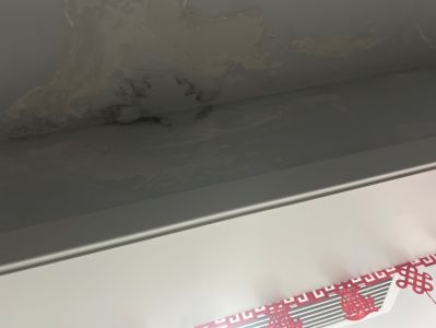 王帅未编辑专业未编辑专业未编辑专业
