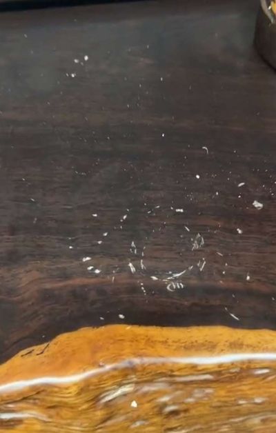 家电维修家具维修家政保洁家电清洗
