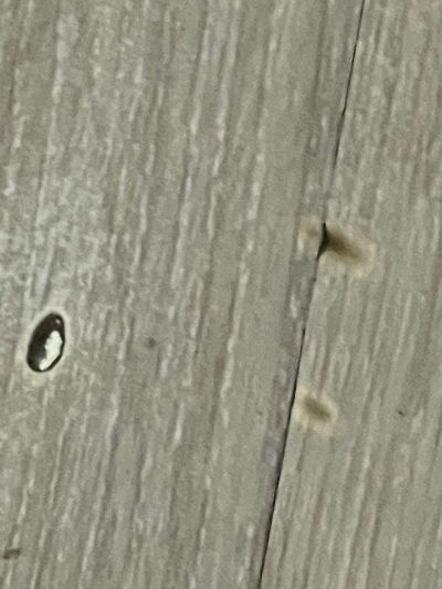家电维修家具维修家政保洁家电清洗