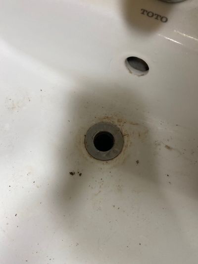 潘园林景观风景园林未编辑专业