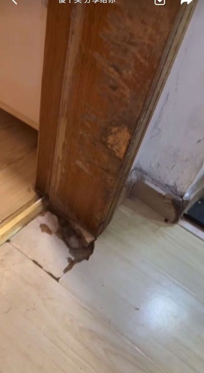 定制维修环保装修材料厂家直销网店