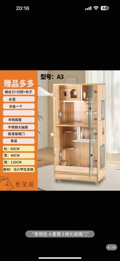 郑轩未编辑专业未编辑专业未编辑专业