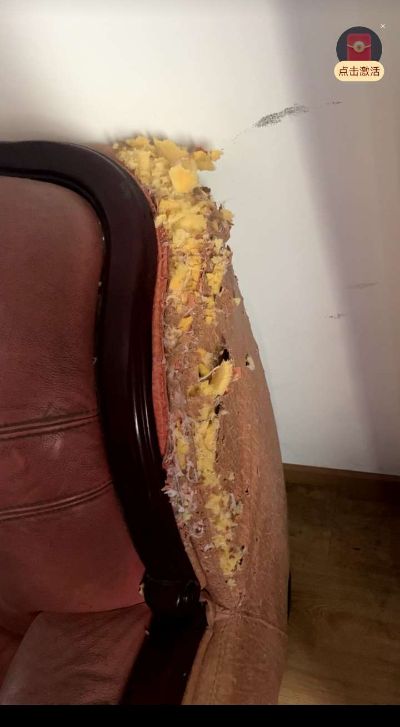 家电维修家具维修家政保洁家电清洗
