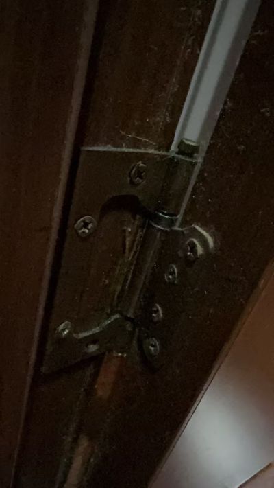 蒋霞未编辑专业未编辑专业未编辑专业