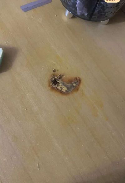 家电维修家具维修家政保洁家电清洗