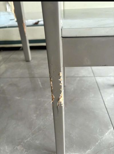 定制维修环保装修材料厂家直销网店