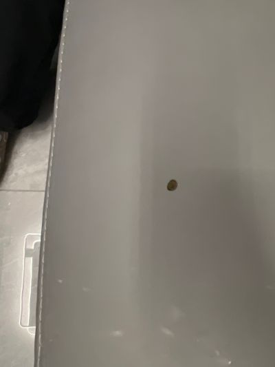 祁永琛未编辑专业未编辑专业未编辑专业