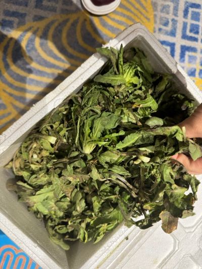 牛晓敏未编辑专业未编辑专业未编辑专业