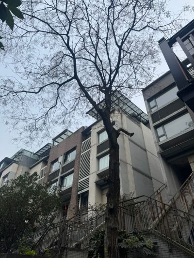 刘军未编辑专业未编辑专业未编辑专业