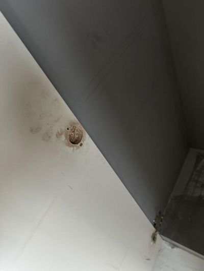 李先生未编辑专业未编辑专业未编辑专业