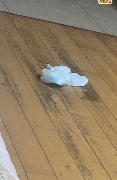 定制维修环保装修材料厂家直销网店