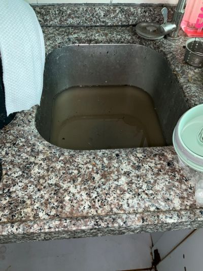 陈未编辑专业未编辑专业未编辑专业