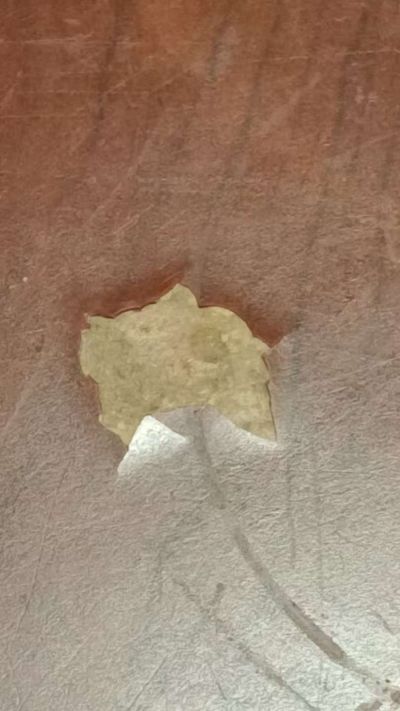 无未编辑专业未编辑专业未编辑专业