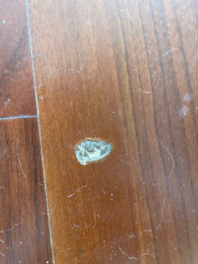 陈俊达未编辑专业未编辑专业未编辑专业