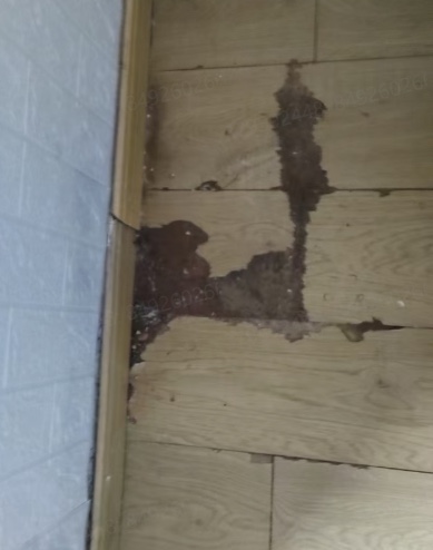 家电维修家具维修家政保洁家电清洗