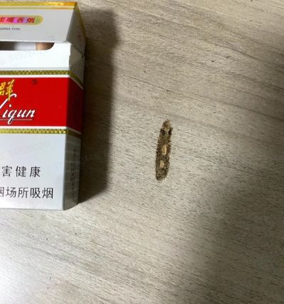 家电维修家具维修家政保洁家电清洗