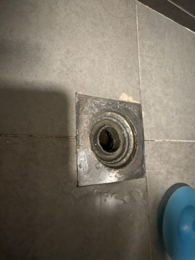 王木木未编辑专业未编辑专业未编辑专业