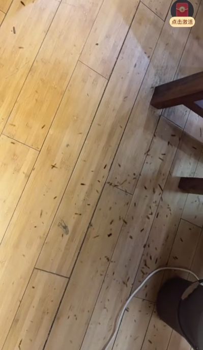 家电维修家具维修家政保洁家电清洗