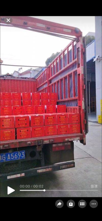 无未编辑专业未编辑专业未编辑专业