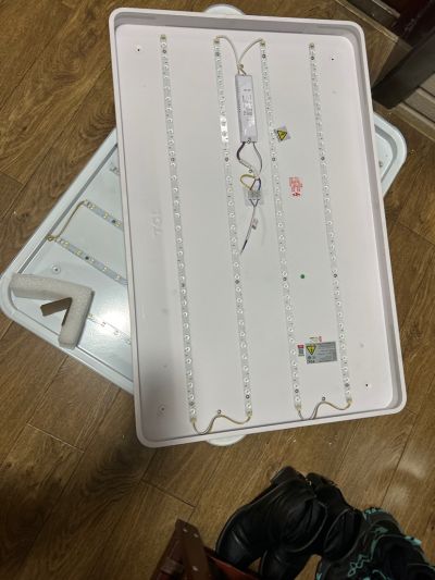 无未编辑专业未编辑专业未编辑专业
