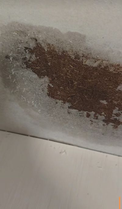 家电维修家具维修家政保洁家电清洗