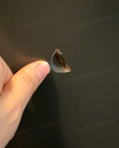 定制维修环保装修材料厂家直销网店