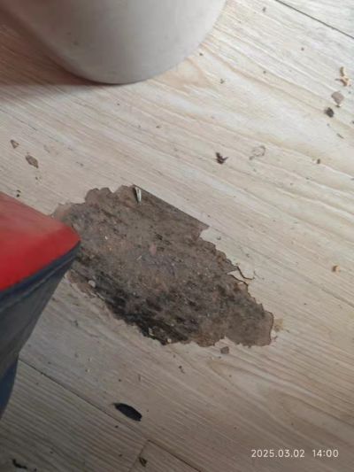 定制维修环保装修材料厂家直销网店