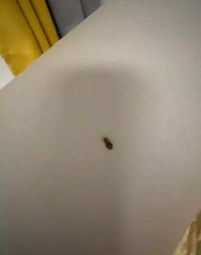 定制维修环保装修材料厂家直销网店