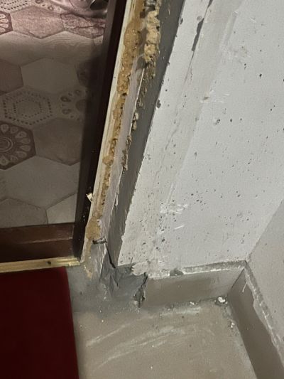 李汶轩未编辑专业未编辑专业未编辑专业