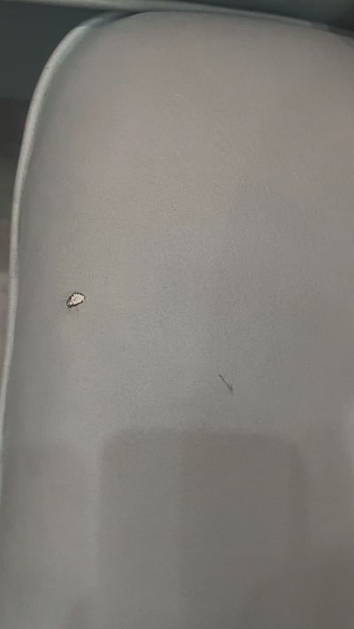定制维修环保装修材料厂家直销网店