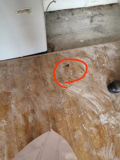 定制维修环保装修材料厂家直销网店