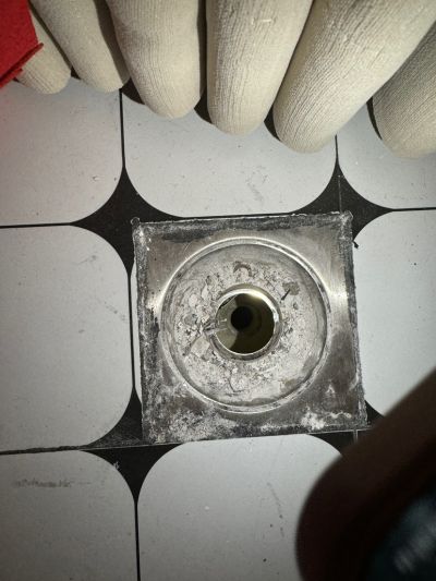无未编辑专业未编辑专业未编辑专业