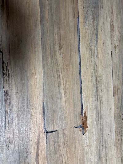 无未编辑专业未编辑专业未编辑专业