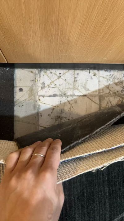 无未编辑专业未编辑专业未编辑专业