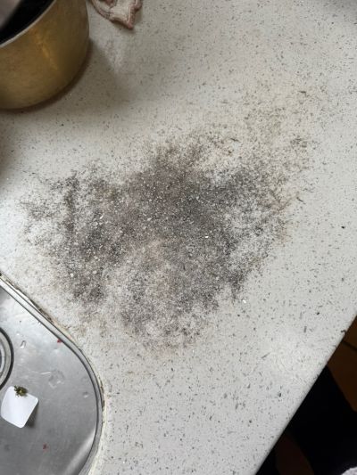 无未编辑专业未编辑专业未编辑专业