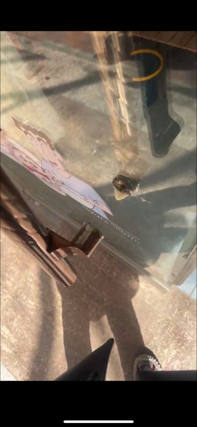 无未编辑专业未编辑专业未编辑专业