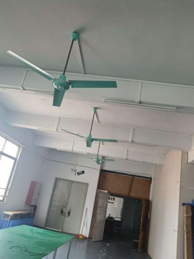 无未编辑专业未编辑专业未编辑专业
