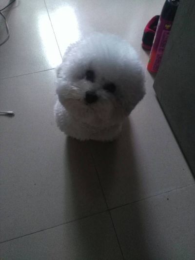 水电安装家电维修空调维修折装电话☎15220265631