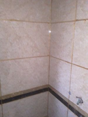 有需要瓷砖美缝的可以联系我的。10元一米，26元一平方米。客户自己选择。