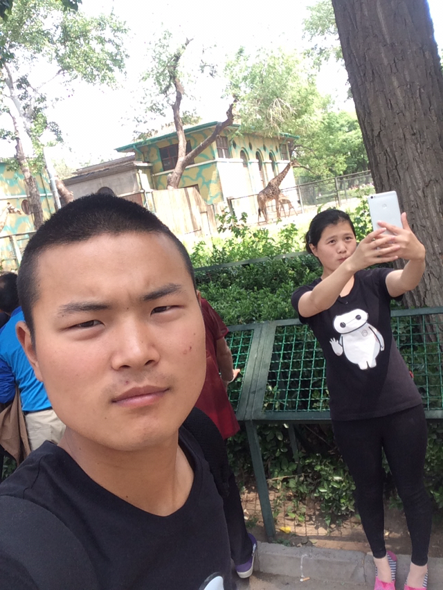 安装家具配送无无无