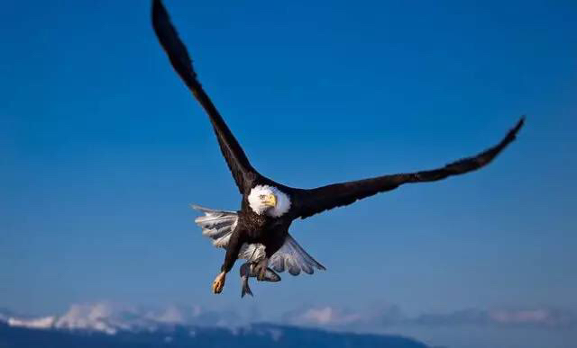 电脑维修打印机维修