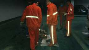 交通设施绿化养护