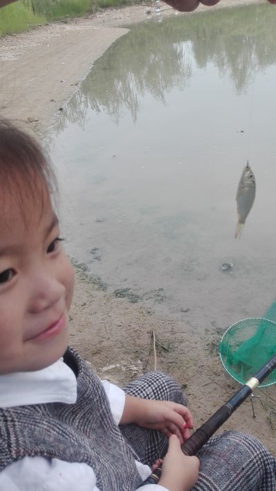 专业刷腻子墙漆维修室内墙漆腻子水电维修