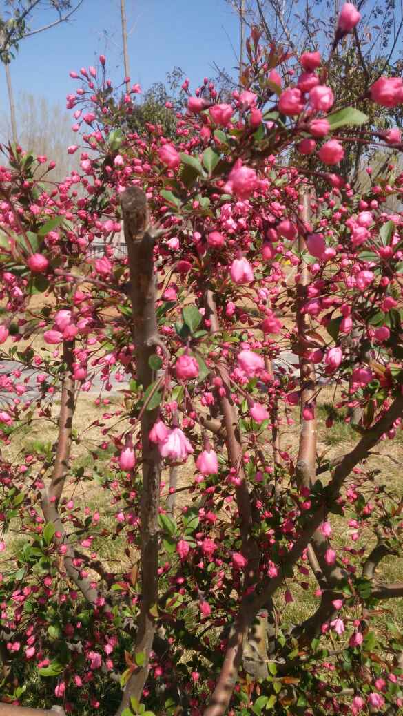 卫浴维修安装水暖厨房电器