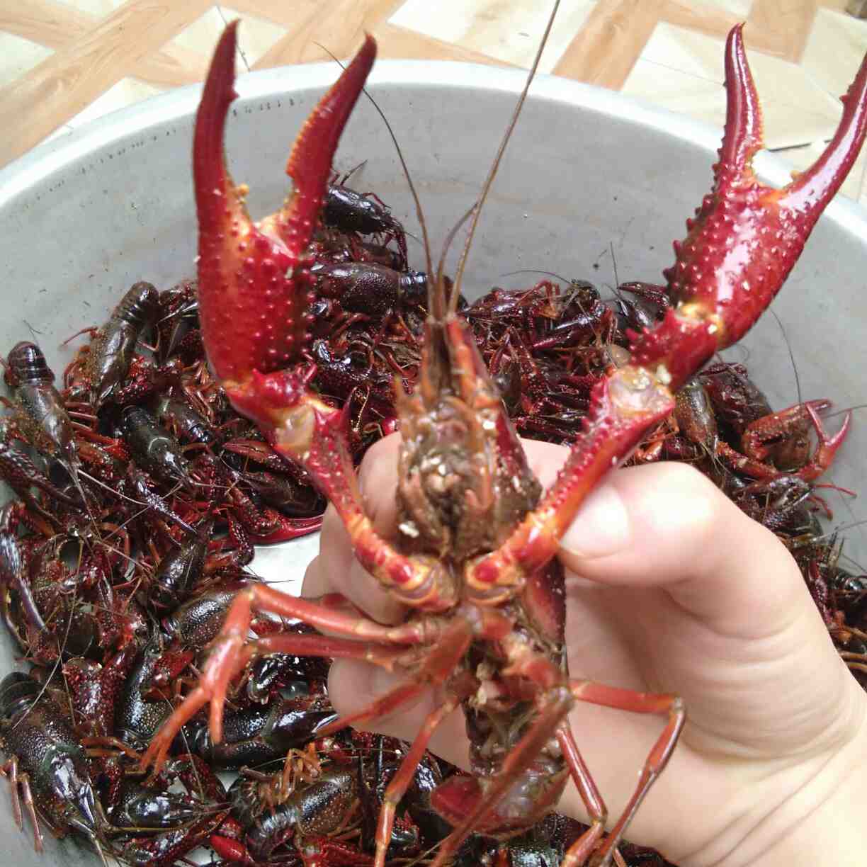 家具安装配送修补