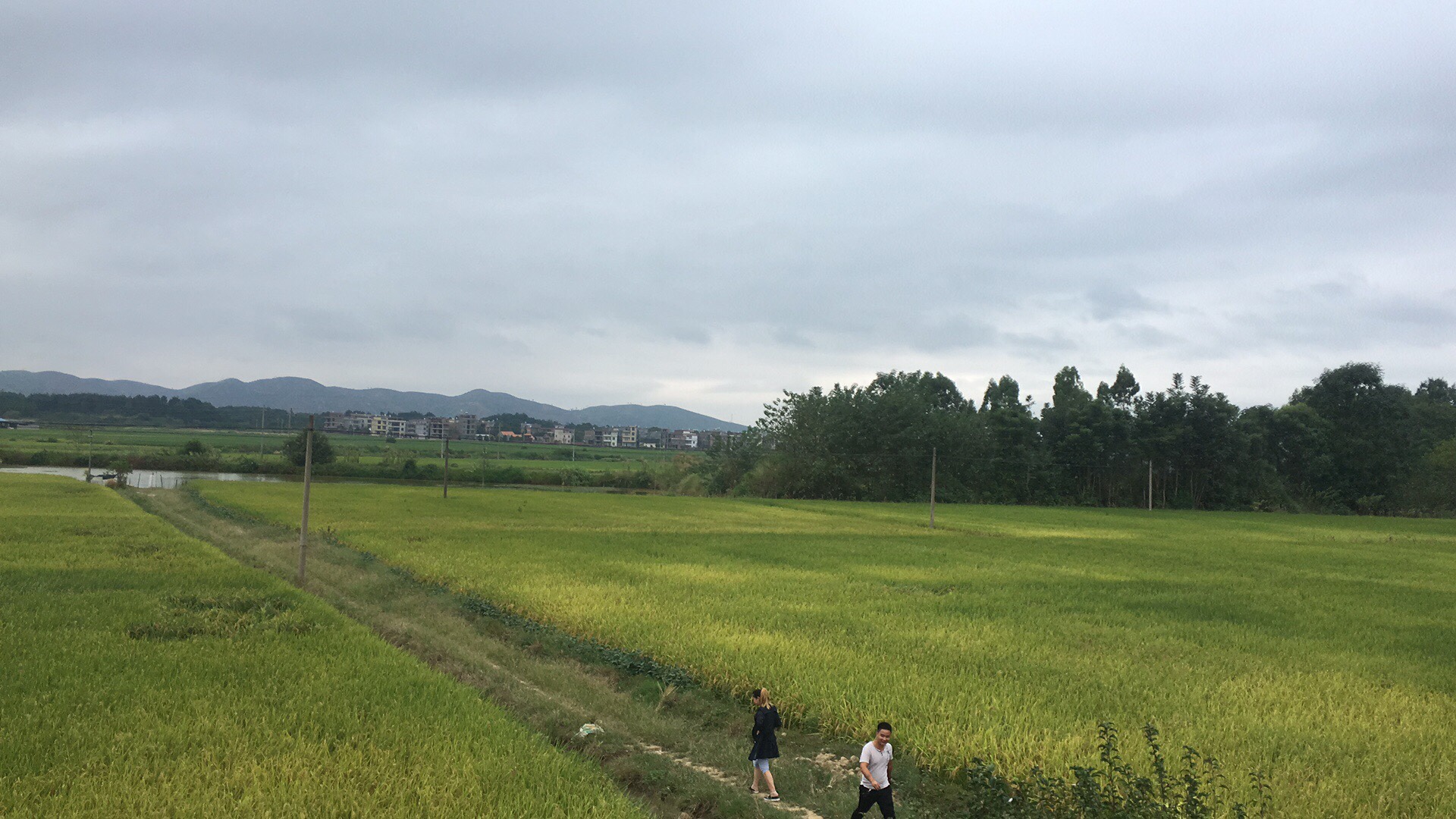 家具安装家具维修配送沙发订做