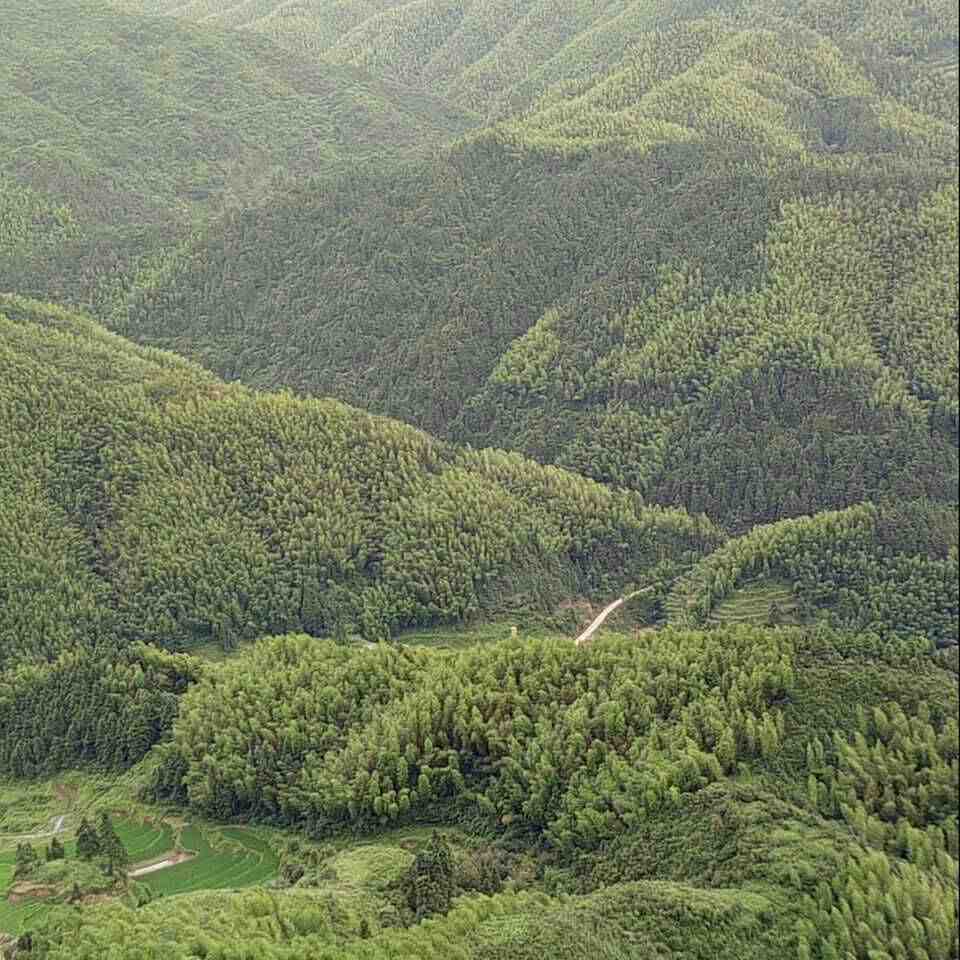 司机