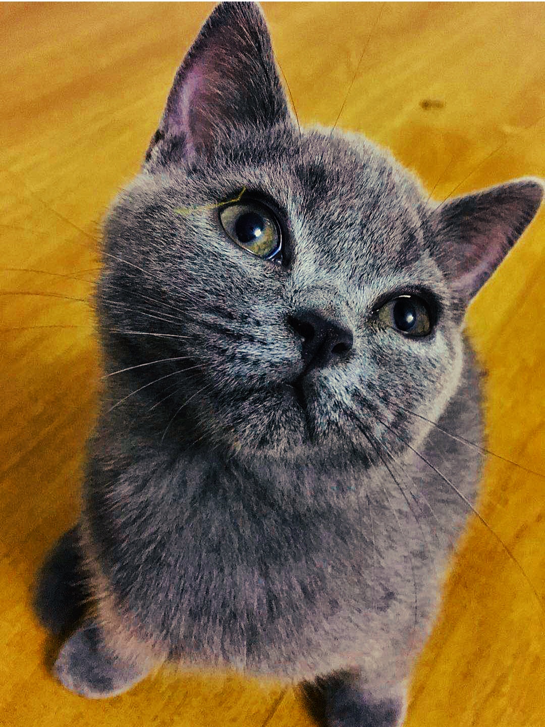家装装修设计